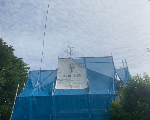 20210524　S__70811684